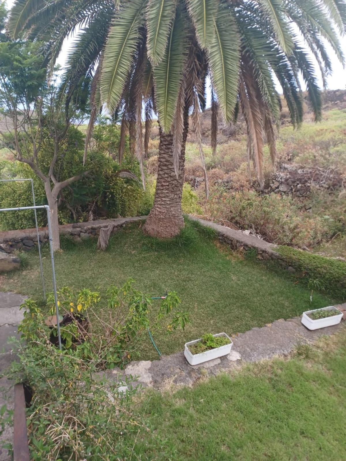 Casa Rural El Olivo De Mazo Екстер'єр фото