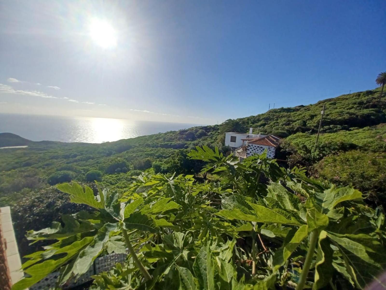 Casa Rural El Olivo De Mazo Екстер'єр фото