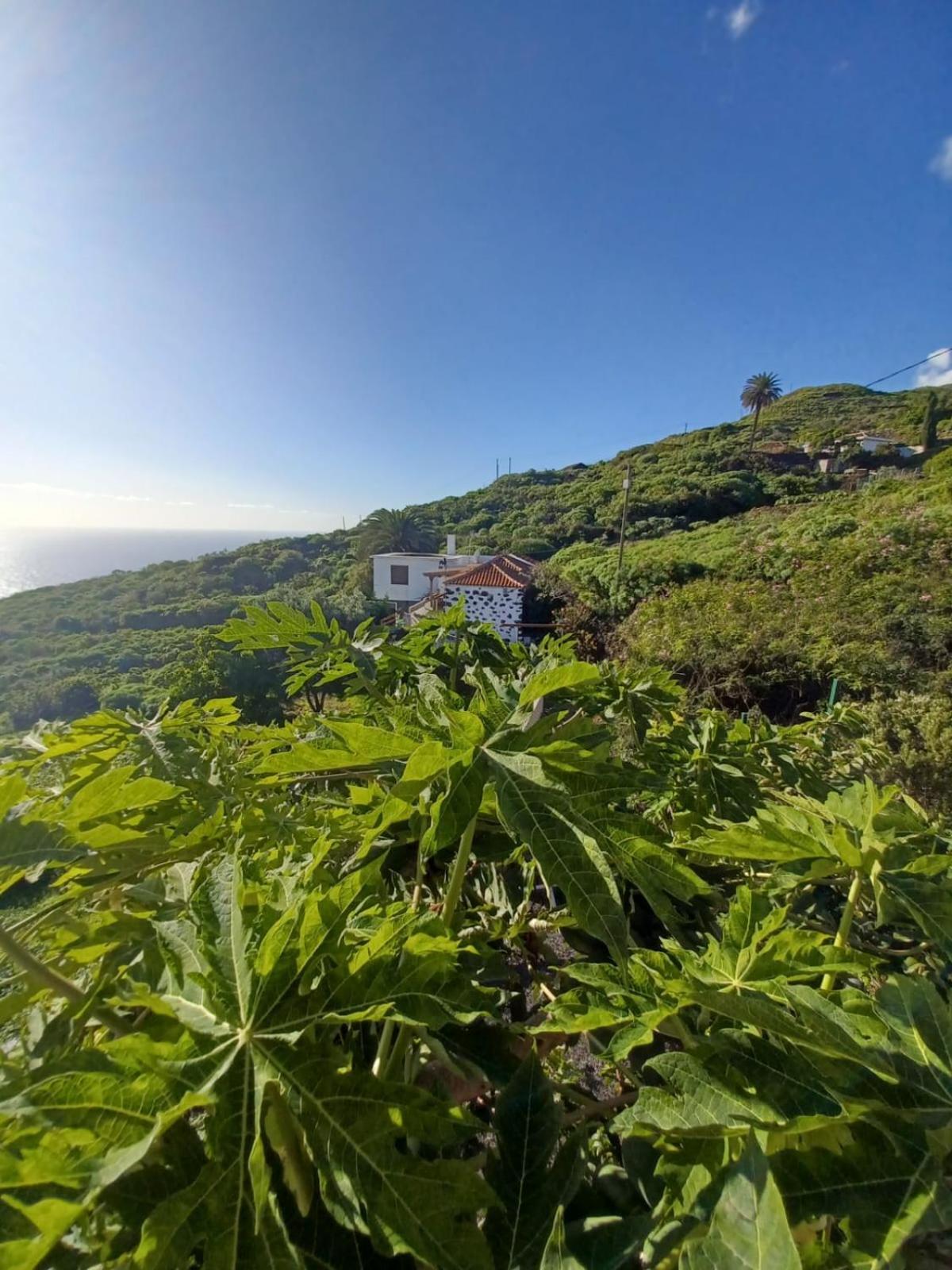 Casa Rural El Olivo De Mazo Екстер'єр фото